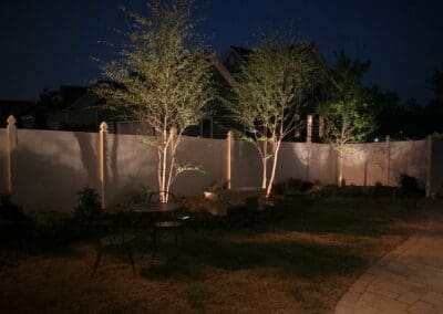 Southern Greenscapes Landscape Design & Construction | Rock Hill, SC | outdoor lighting focusing on trees
